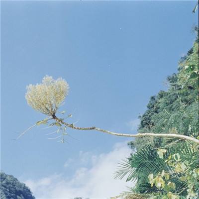 宇文保东