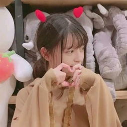 美狮贵宾会下载官方